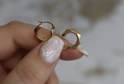Hoop Fancy Earrings